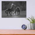 'Black & White Assateague Horses' by Lori Deiter – Metal Wall Art, 16x12 room view