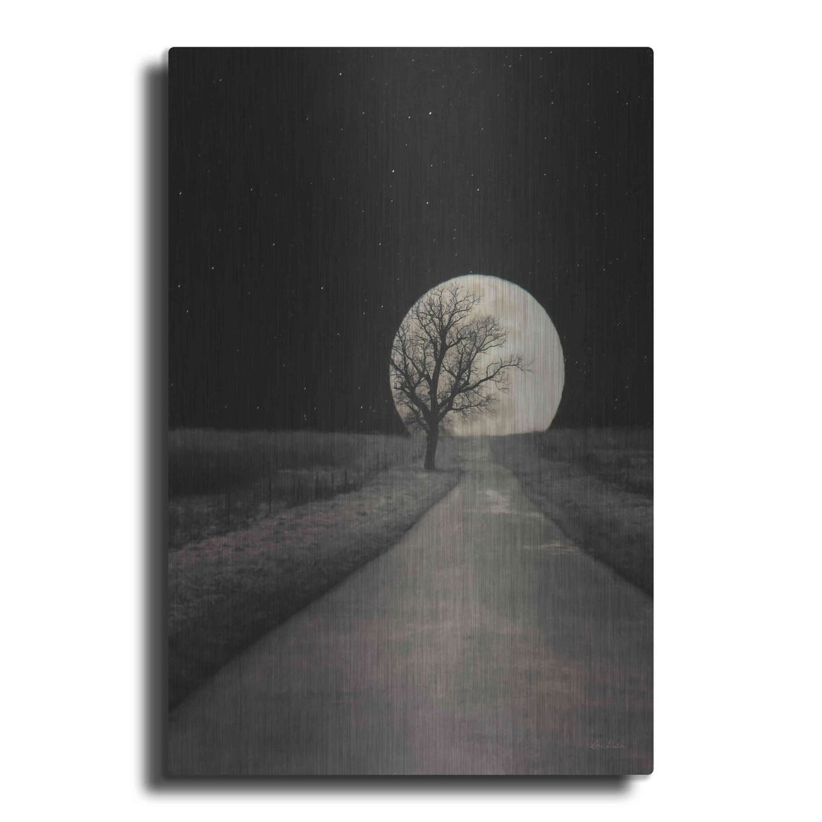 'Moonlit Country Road' by Lori Deiter – Metal Wall Art