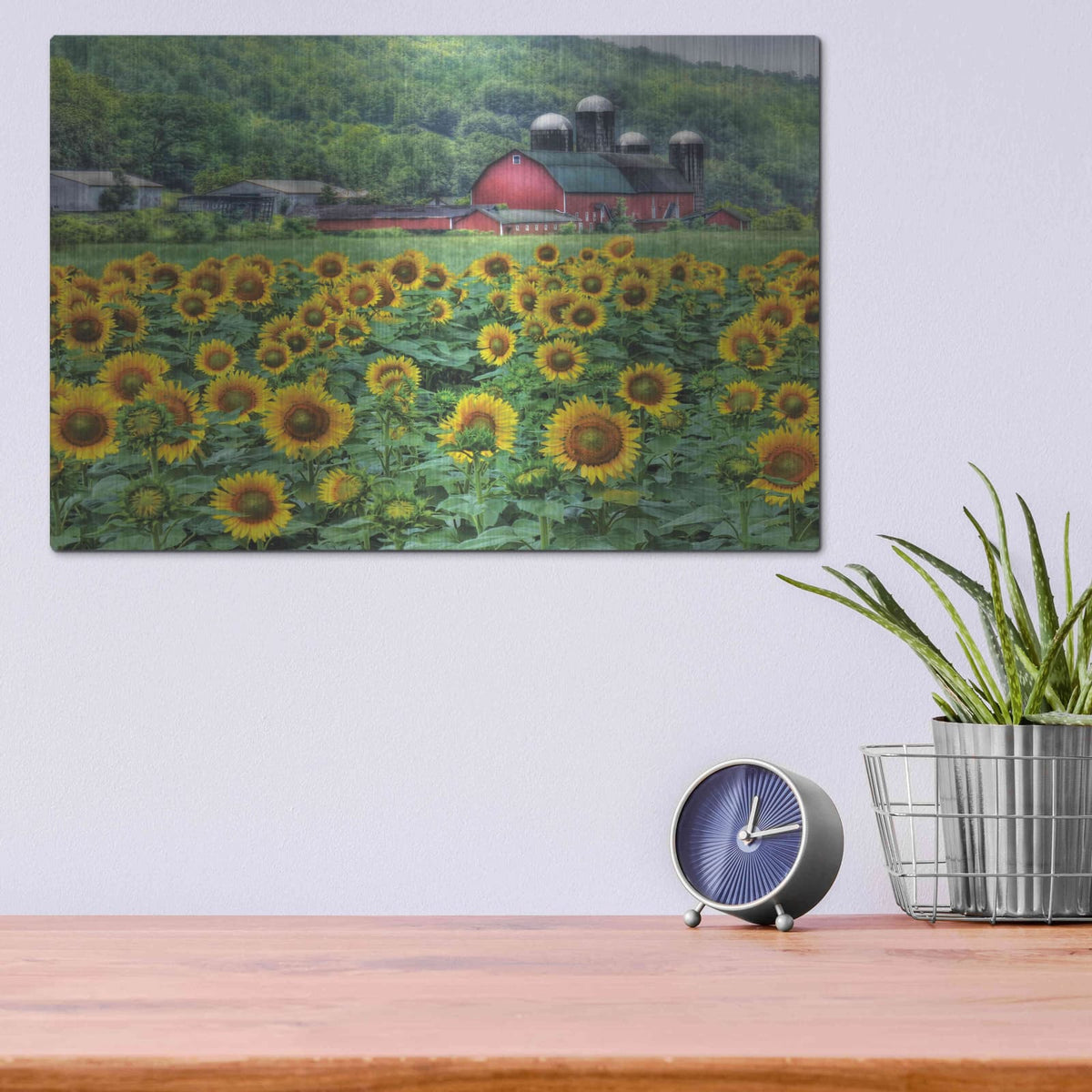 'Sunflower Field' by Lori Deiter – Metal Wall Art, 16x12 room view