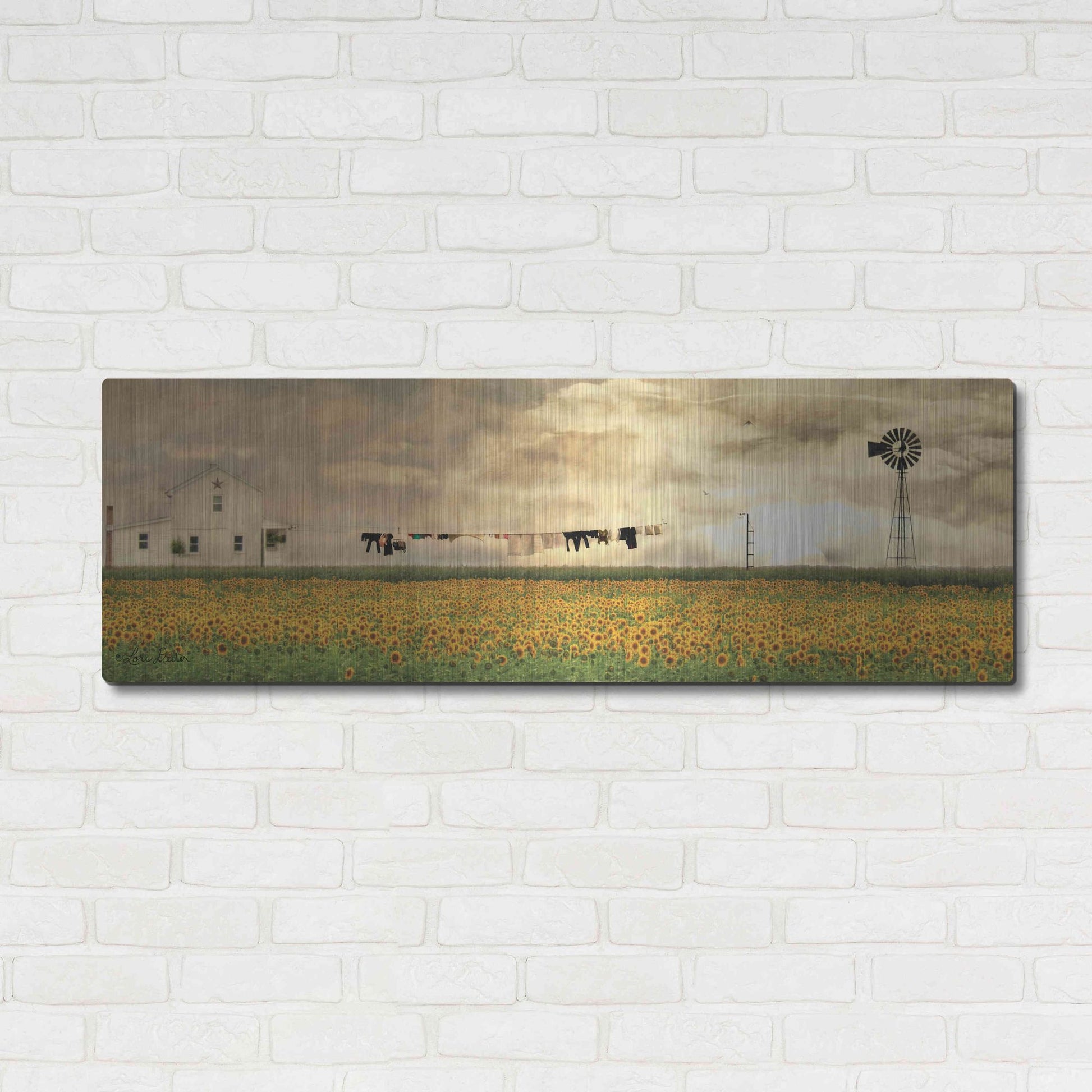 Luxe Metal Art 'Laundry Day' by Lori Deiter, Metal Wall Art,48x16