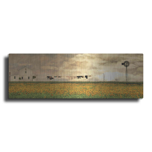 Luxe Metal Art 'Laundry Day' by Lori Deiter, Metal Wall Art