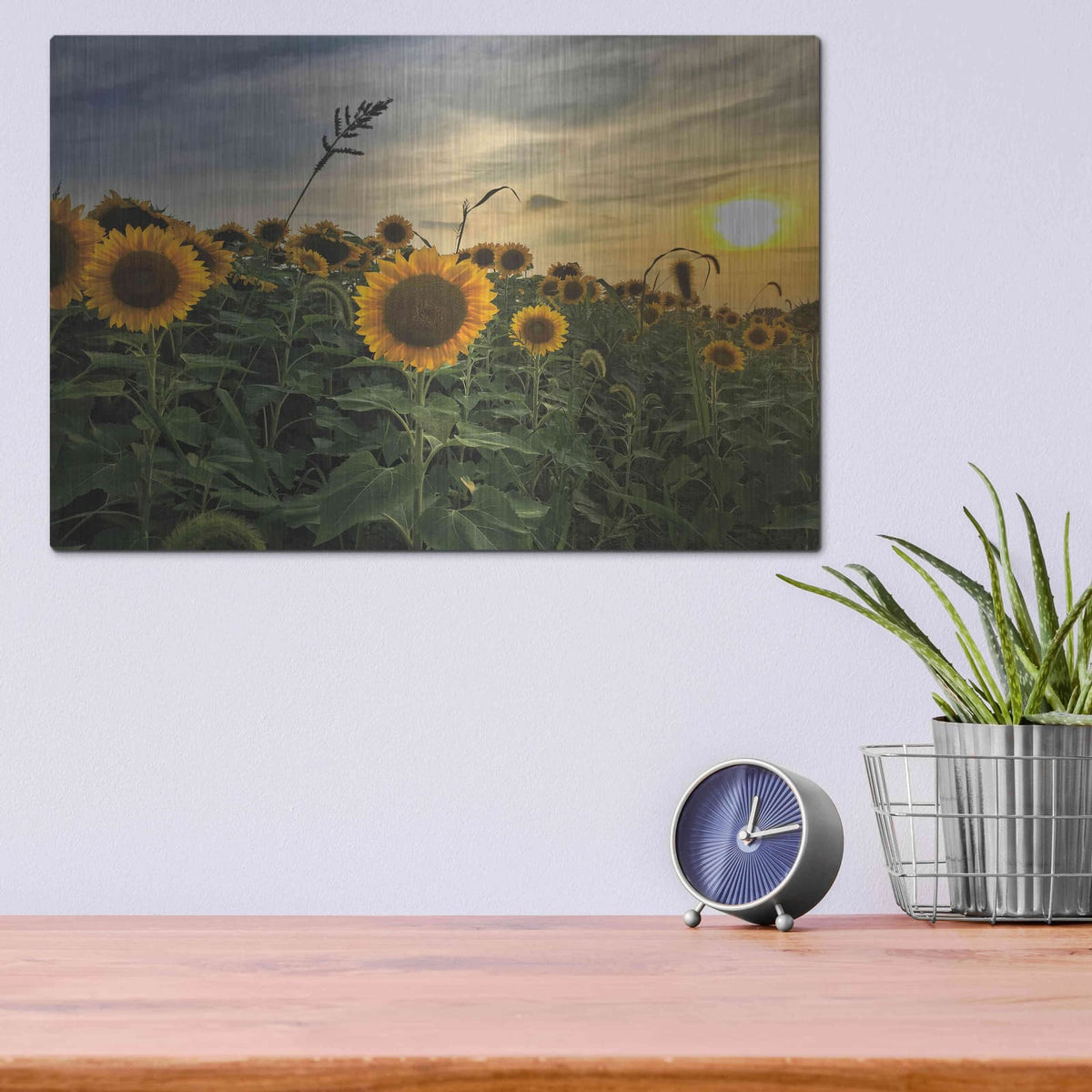 'Midwest Livin' I' by Donnie Quillen – Metal Wall Art, 16x12 room view