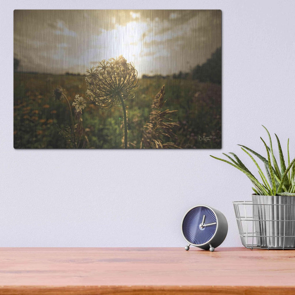'Face the Sun II' by Donnie Quillen – Metal Wall Art, 16x12 room view