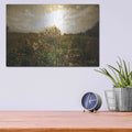 'Face the Sun II' by Donnie Quillen – Metal Wall Art, 16x12 room view