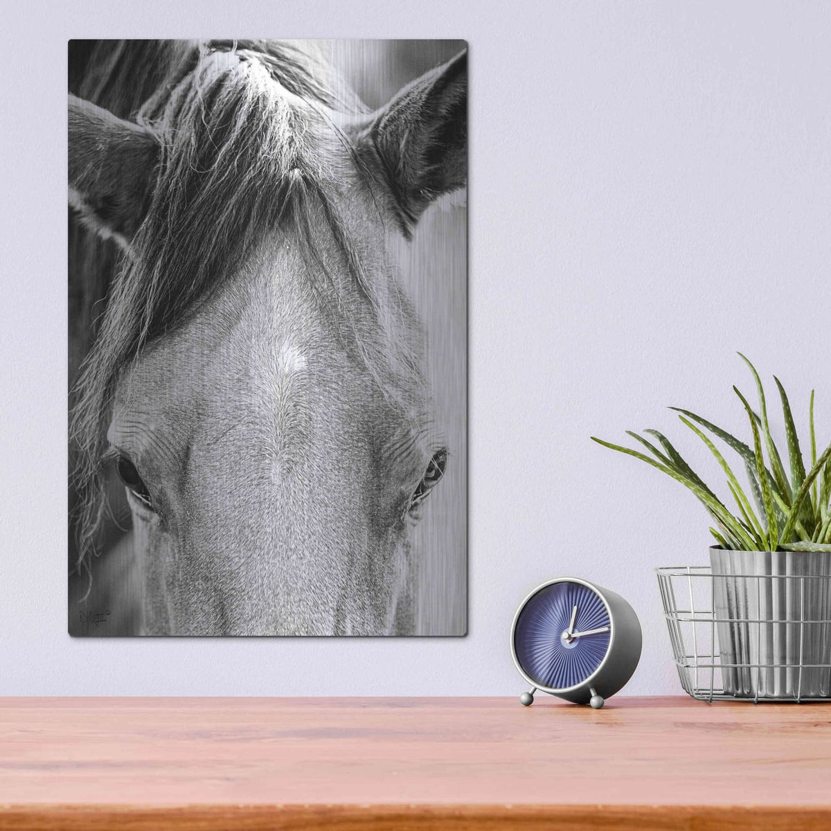 'Trophy Winner I' by Donnie Quillen – Metal Wall Art, 12x16 room view
