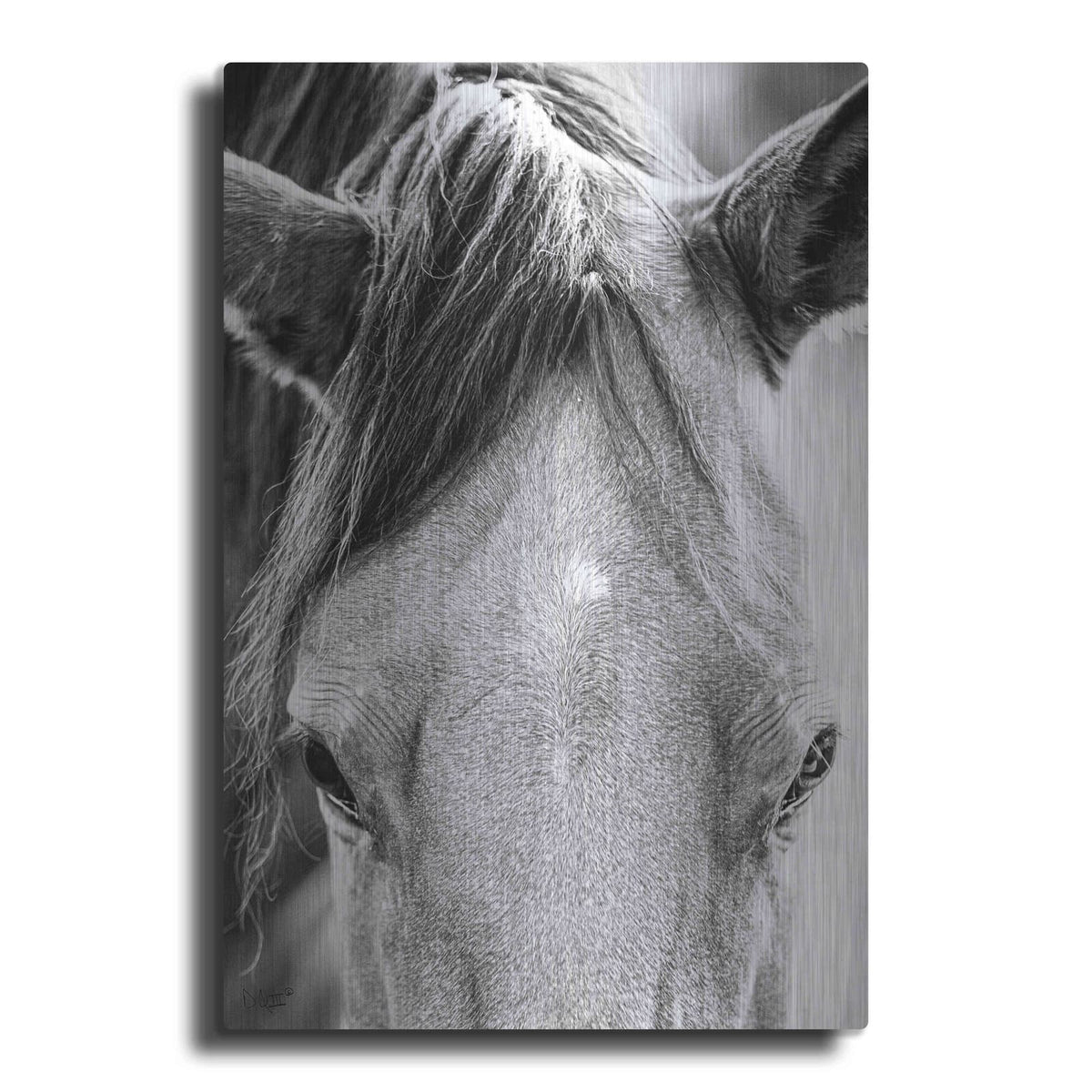 'Trophy Winner I' by Donnie Quillen – Metal Wall Art