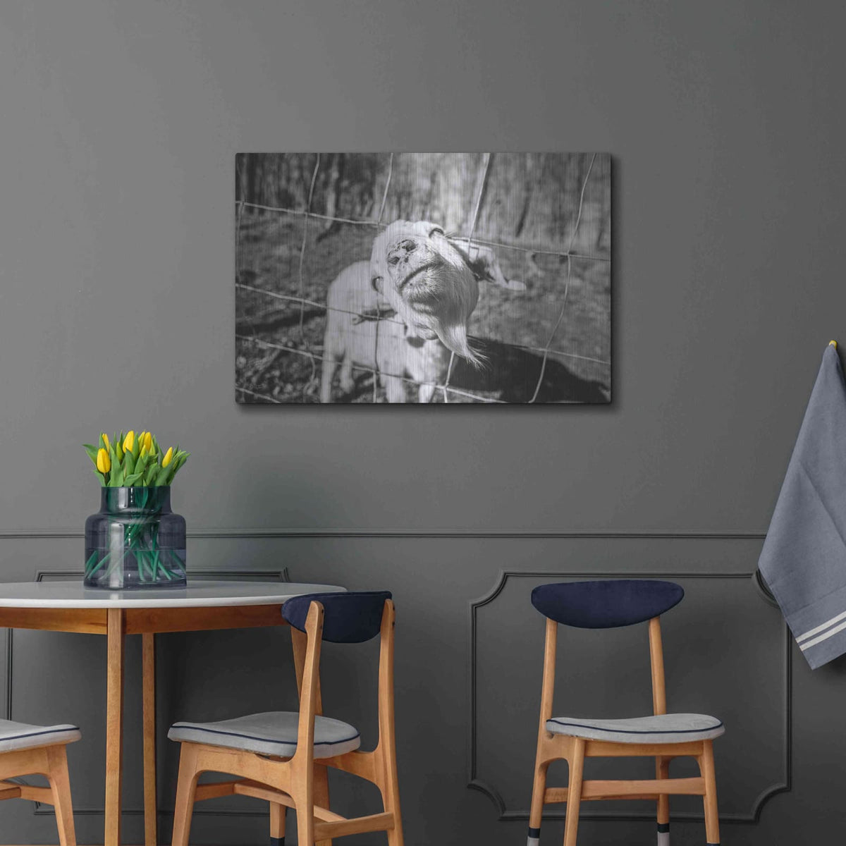'Hey Goat' by Donnie Quillen – Metal Wall Art, 36x24 room view