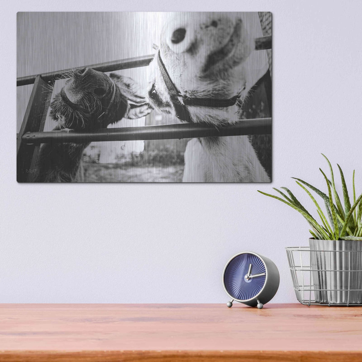 'Feeding Donkeys' by Donnie Quillen – Metal Wall Art, 16x12 room view