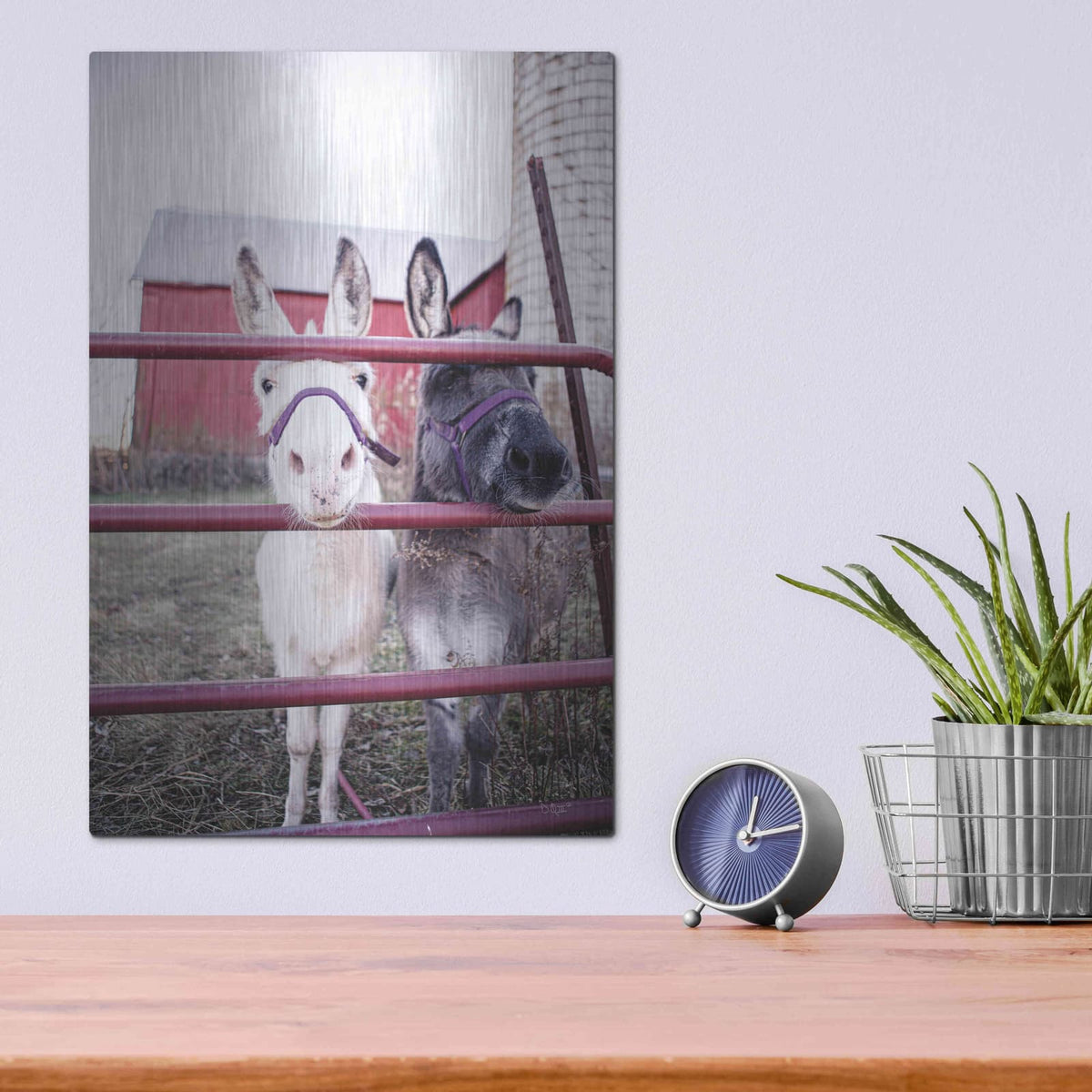 'Mommy & Daughter Donkeys' by Donnie Quillen – Metal Wall Art, 12x16 room view