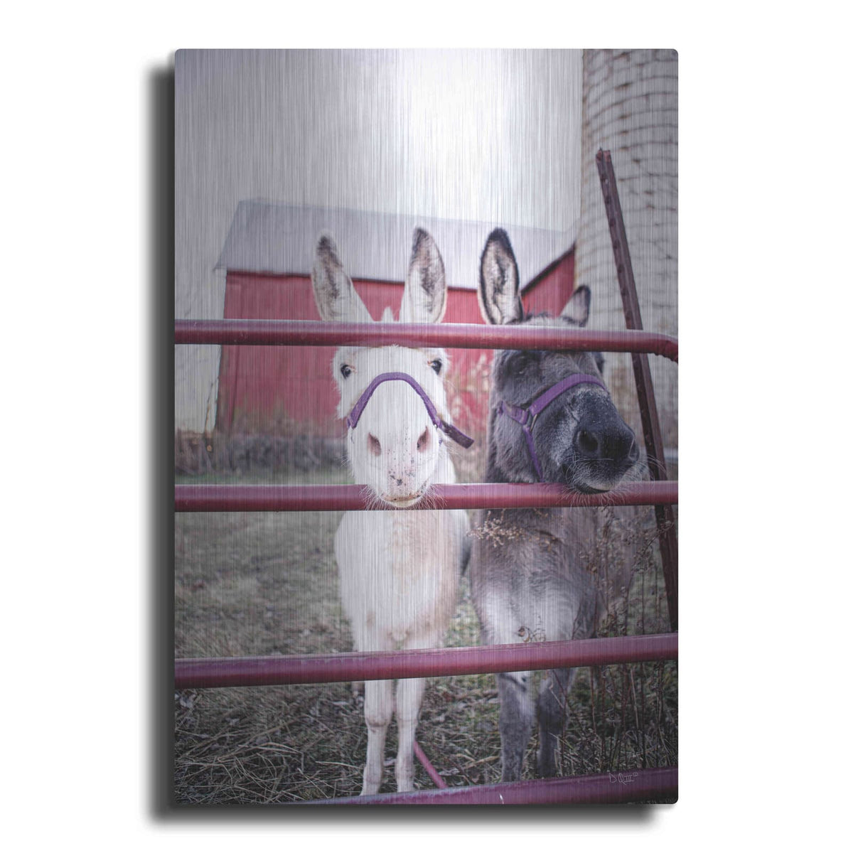 'Mommy & Daughter Donkeys' by Donnie Quillen – Metal Wall Art
