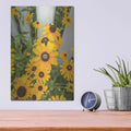 'Bed of Yellow' by Donnie Quillen – Metal Wall Art, 12x16 room view