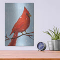 'Cardinal I' by Phyllis Adams – Metal Wall Art, 12x16 room view