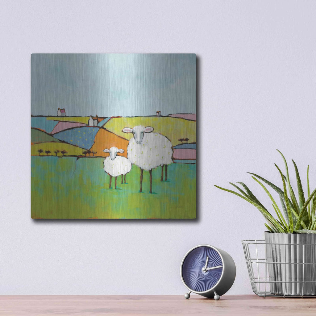'Sheep in the Meadow II' by Phyllis Adams – Metal Wall Art, 12x12 room view