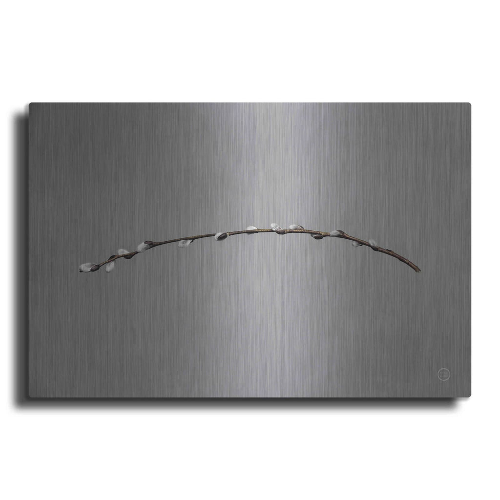 'Springtime in the Air' by Nathan Larson – Metal Wall Art