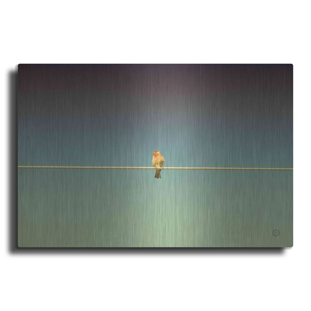 'Waiting' by Nathan Larson – Metal Wall Art