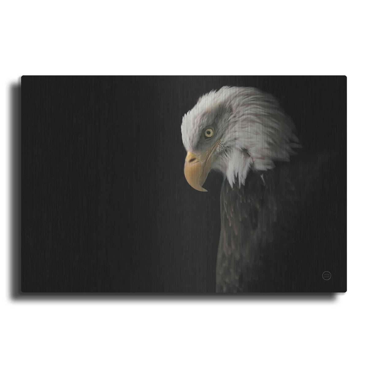 'Eagle Bow' by Nathan Larson – Metal Wall Art