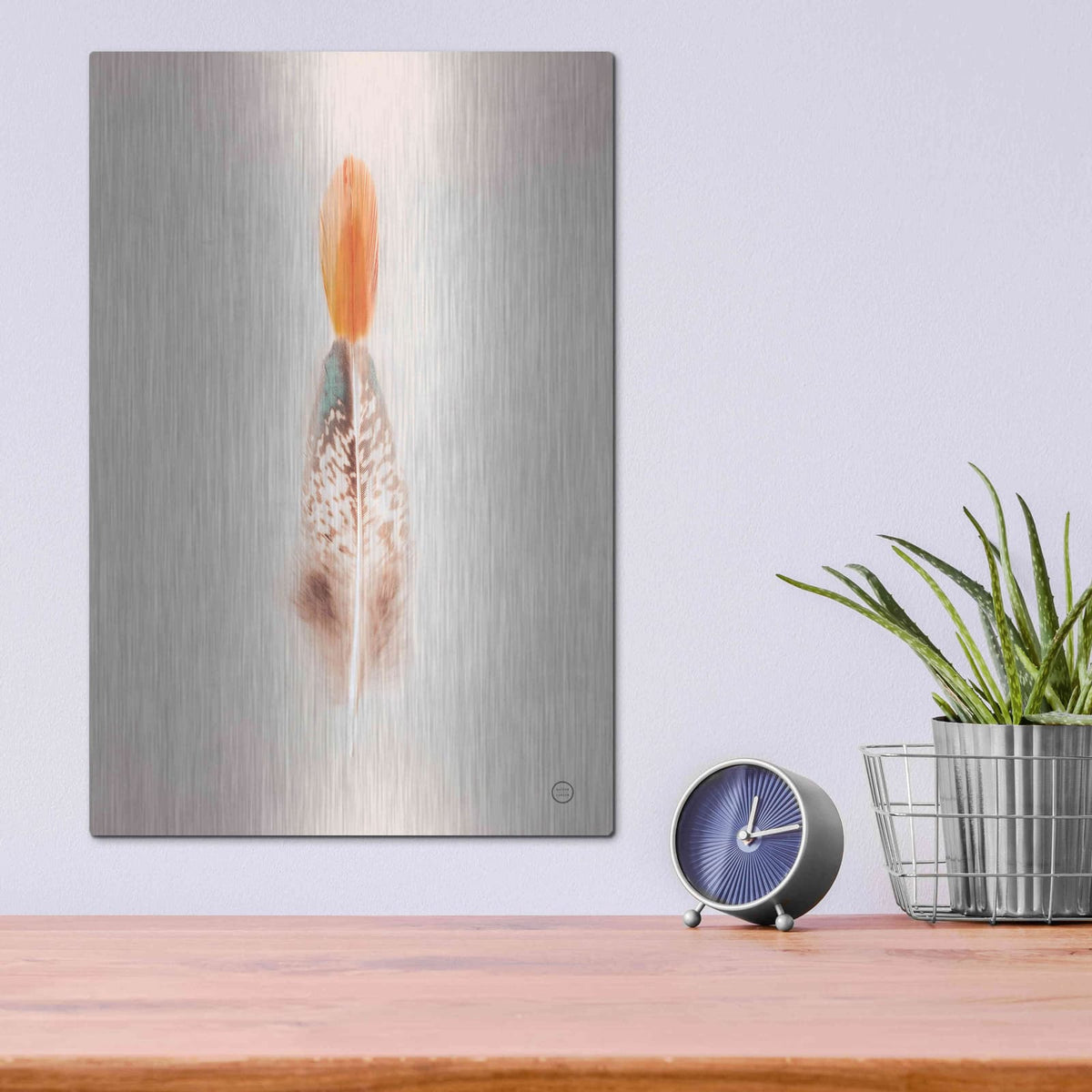 'Floating Feathers I' by Nathan Larson – Metal Wall Art, 12x16 room view
