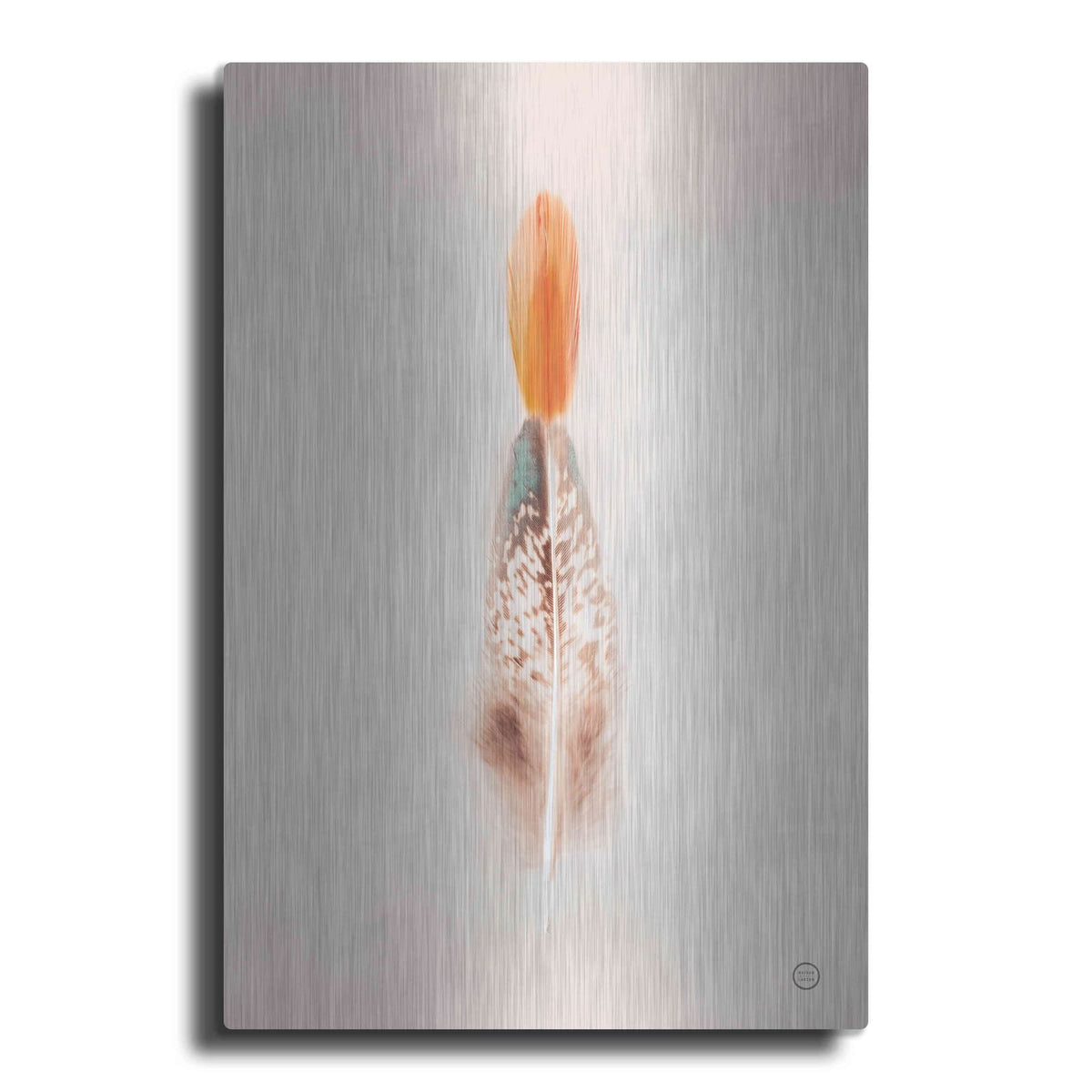 'Floating Feathers I' by Nathan Larson – Metal Wall Art