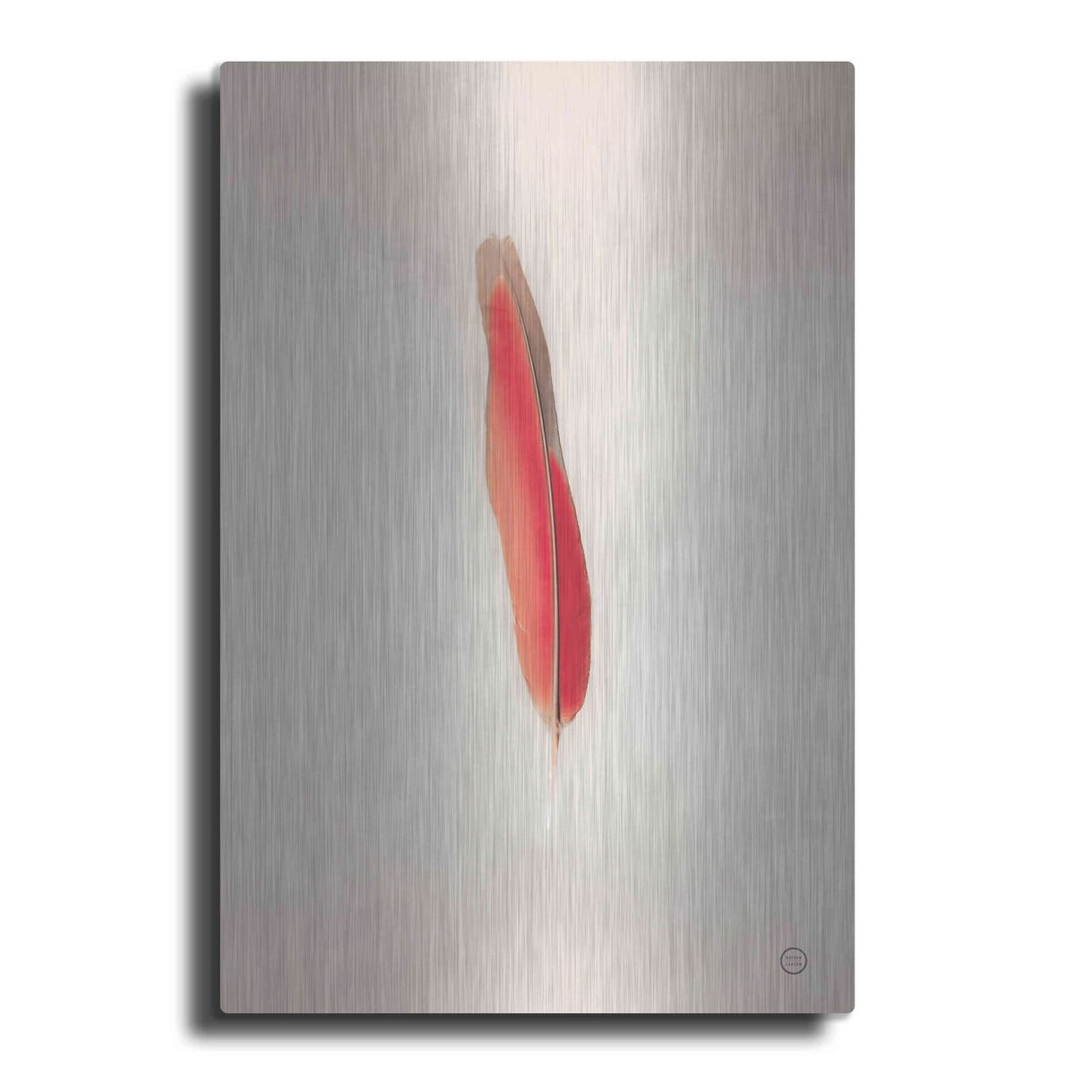 'Floating Feathers II' by Nathan Larson – Metal Wall Art