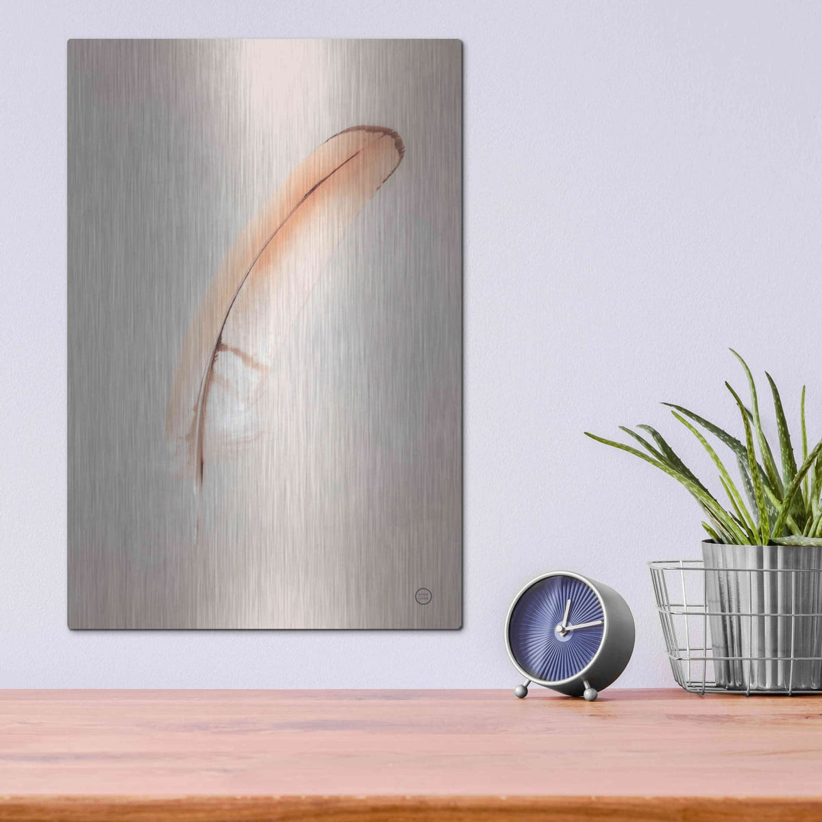 'Floating Feathers III' by Nathan Larson – Metal Wall Art, 12x16 room view
