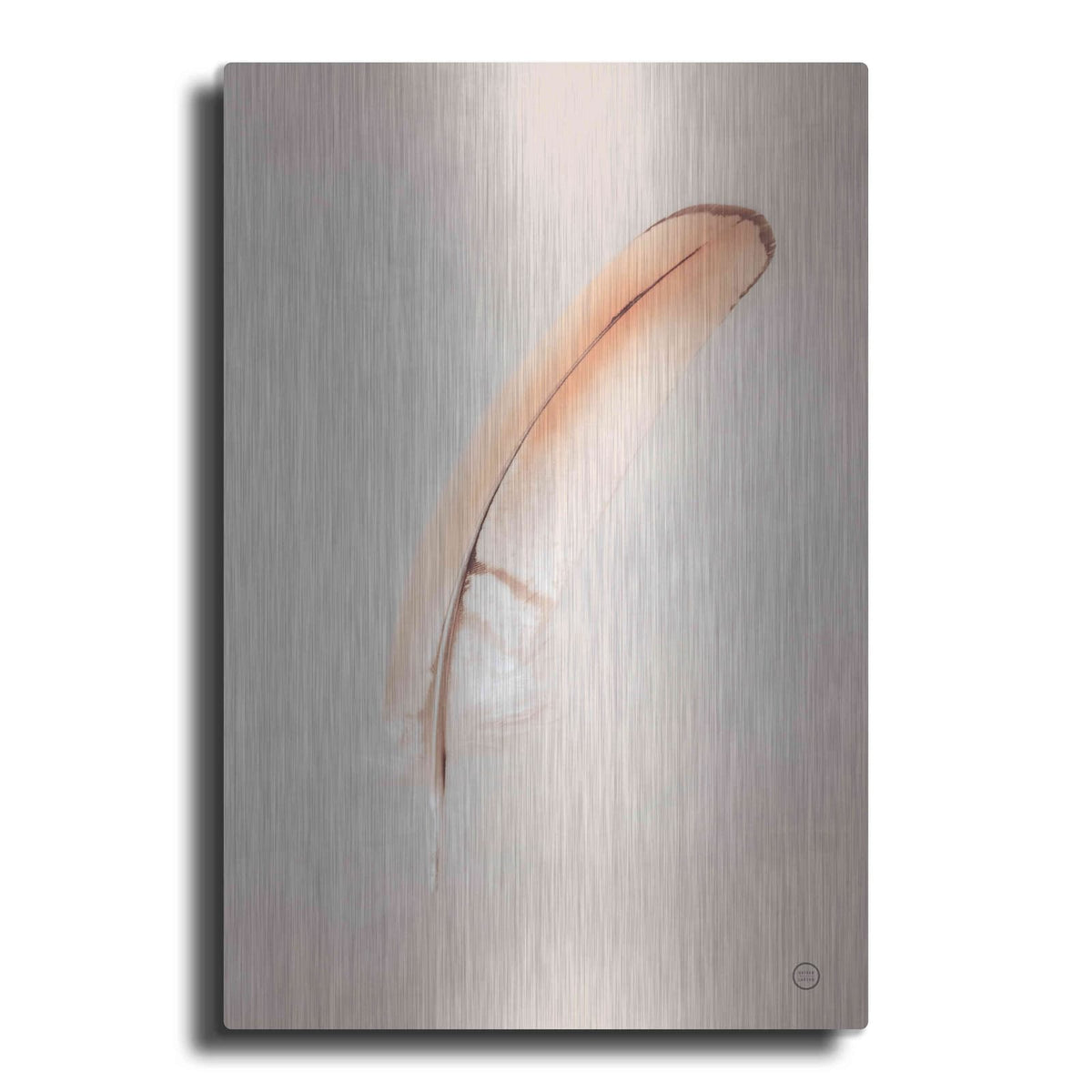 'Floating Feathers III' by Nathan Larson – Metal Wall Art