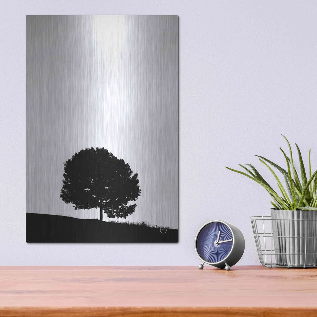 'Lone Tree Hill' by Nathan Larson – Metal Wall Art, 12x16 room view
