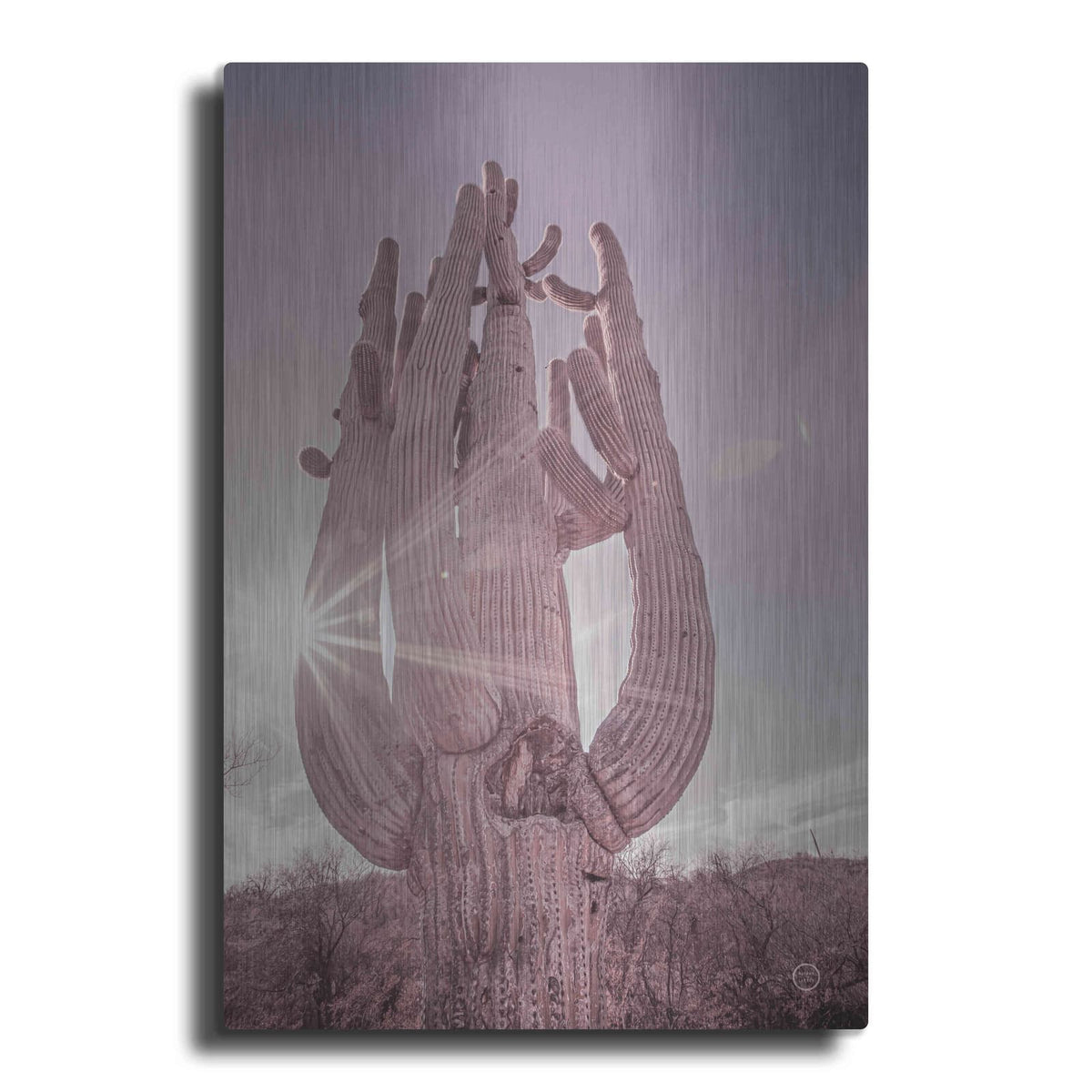 'Dusty Desert Saguaro' by Nathan Larson – Metal Wall Art