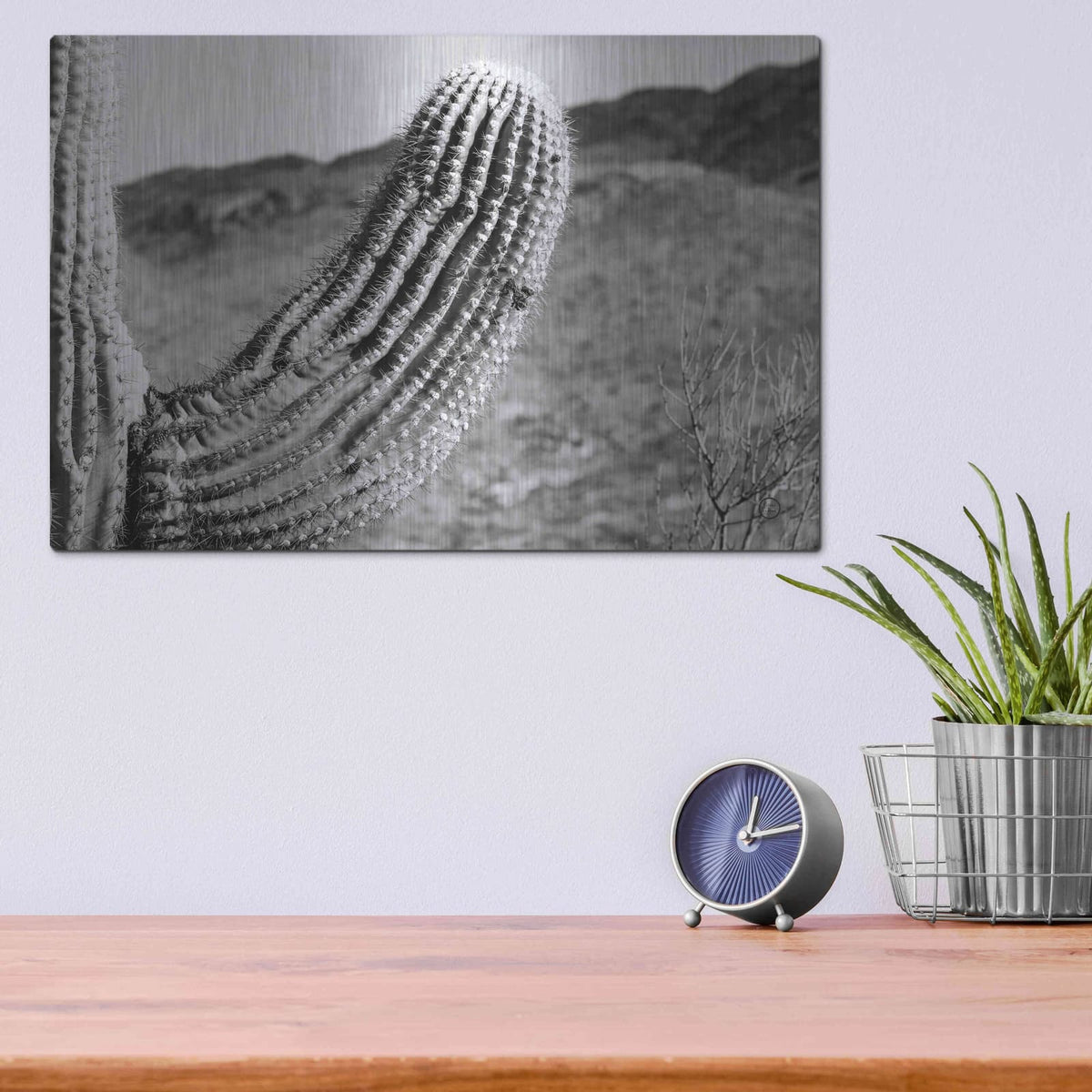 'Saguaro' by Nathan Larson – Metal Wall Art, 16x12 room view