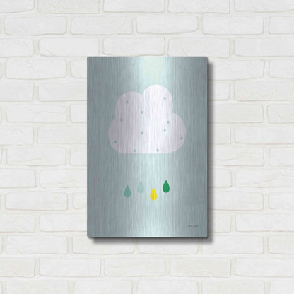 Luxe Metal Art 'Cloud II' by Ann Kelle Designs, Metal Wall Art,16x24