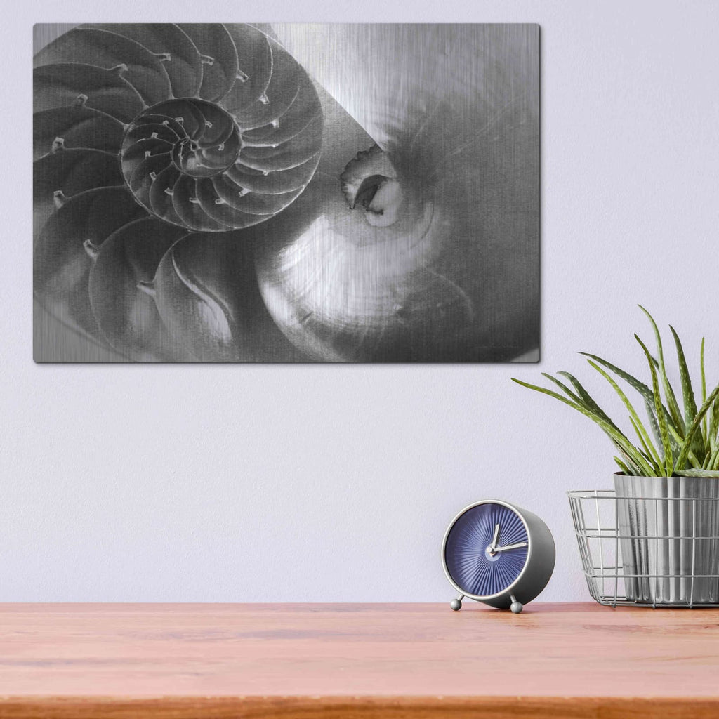 'Nautilus Yin Yang' by Debra Van Swearingen – Metal Wall Art, 16x12 room view