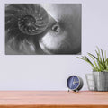 'Nautilus Yin Yang' by Debra Van Swearingen – Metal Wall Art, 16x12 room view