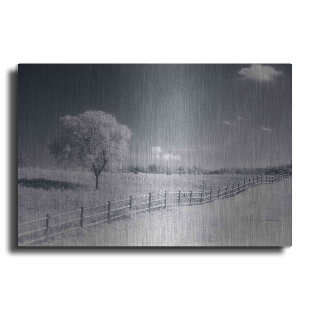 'Trees Fence I' by Debra Van Swearingen – Metal Wall Art