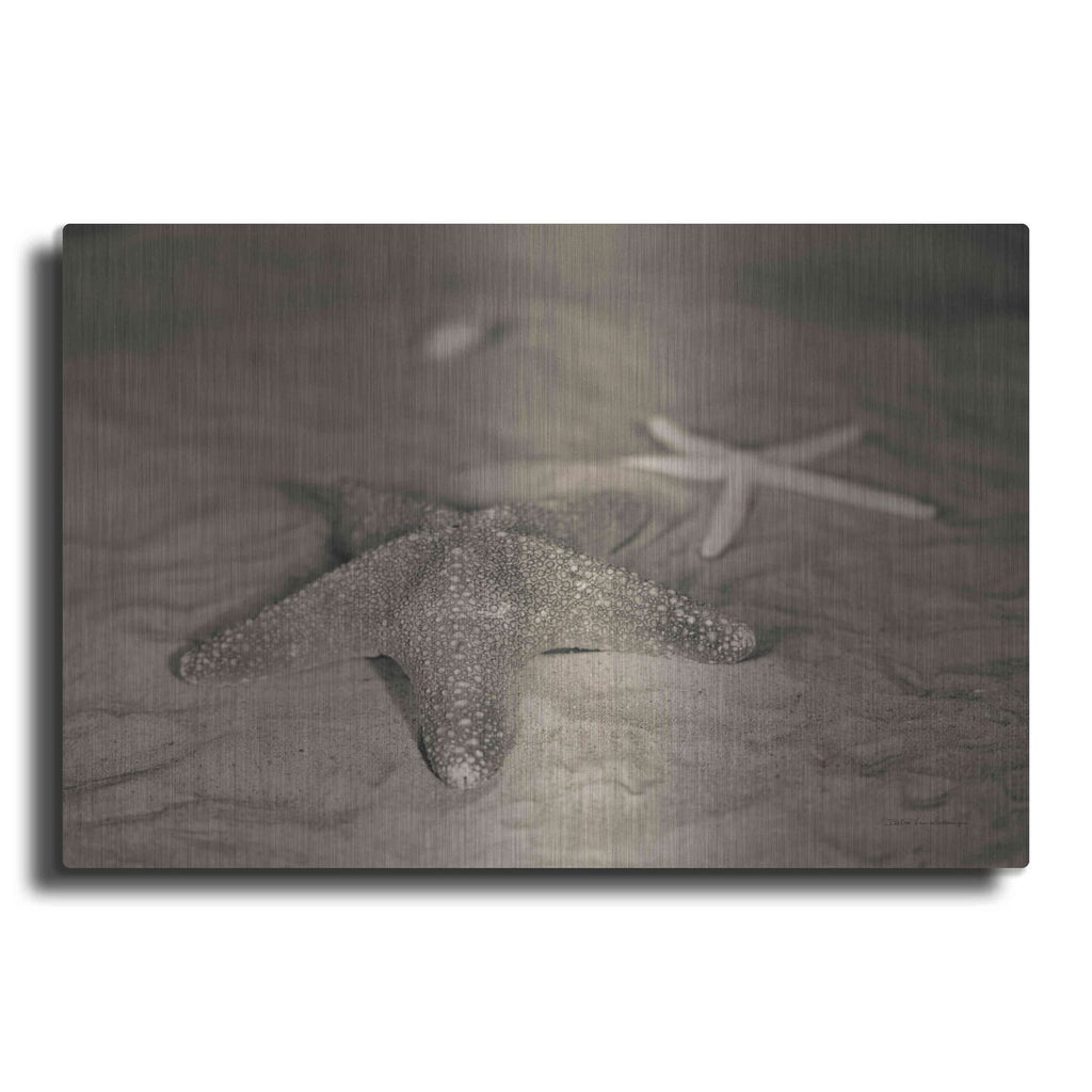 'Starfish II' by Debra Van Swearingen – Metal Wall Art
