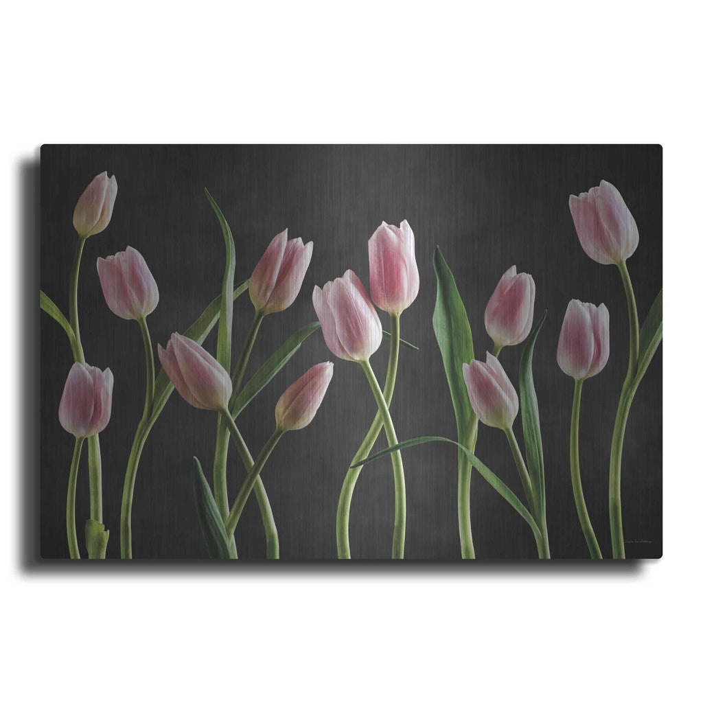 'Spring Tulips IX' by Debra Van Swearingen – Metal Wall Art