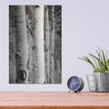 'Aspens I' by Debra Van Swearingen – Metal Wall Art, 12x16 room view