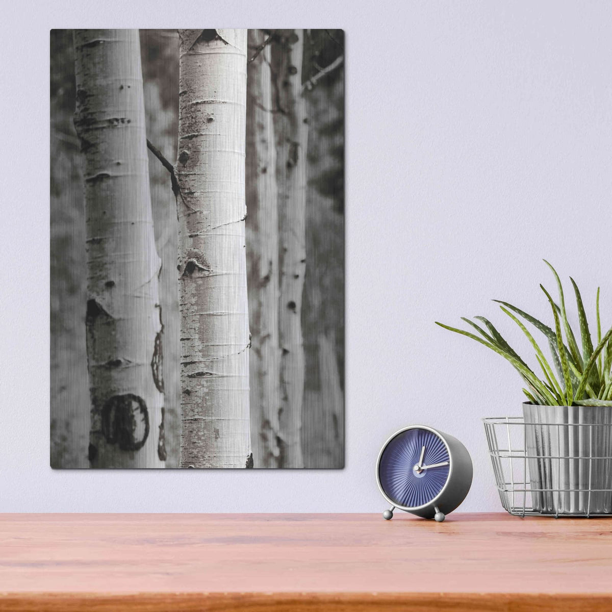 'Aspens I' by Debra Van Swearingen – Metal Wall Art, 12x16 room view