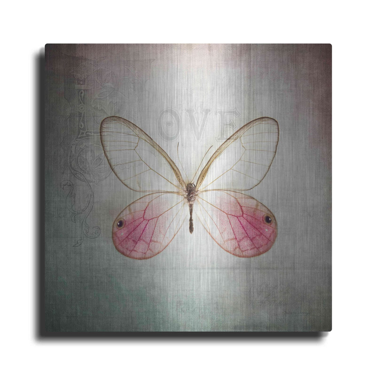'French Butterfly I' by Debra Van Swearingen – Metal Wall Art