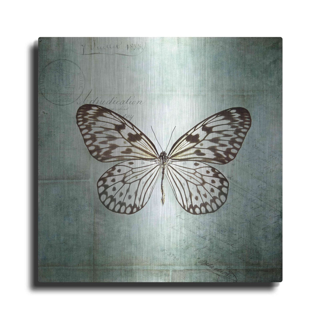 'French Butterfly V' by Debra Van Swearingen – Metal Wall Art