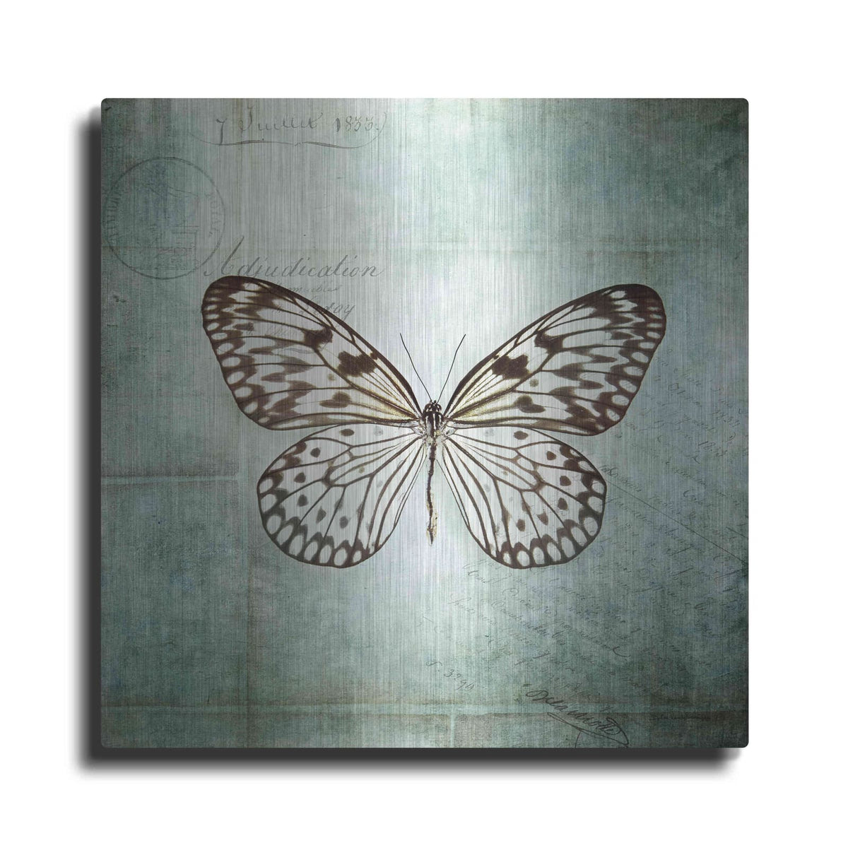 'French Butterfly V' by Debra Van Swearingen – Metal Wall Art