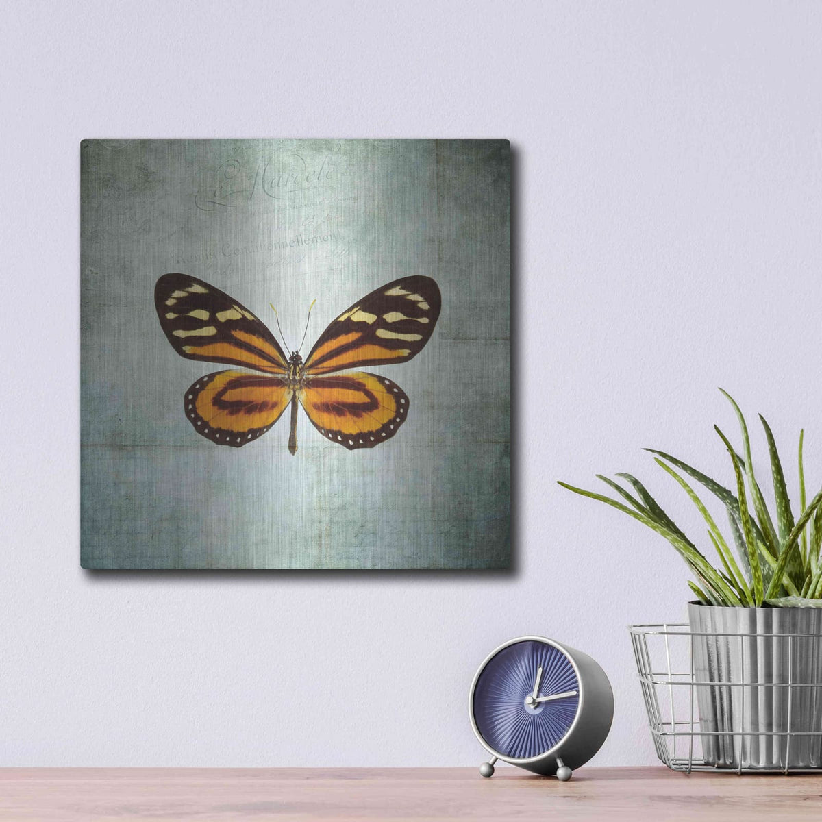 'French Butterfly VIII' by Debra Van Swearingen – Metal Wall Art, 12x12 room view