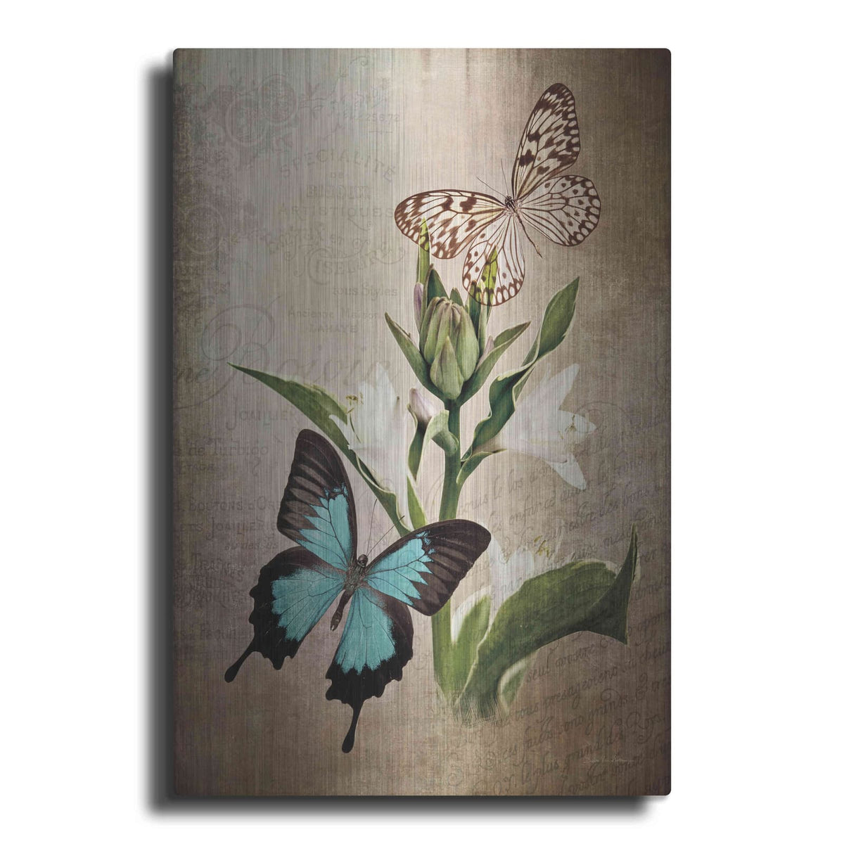 'Butterfly Botanical II' by Debra Van Swearingen – Metal Wall Art