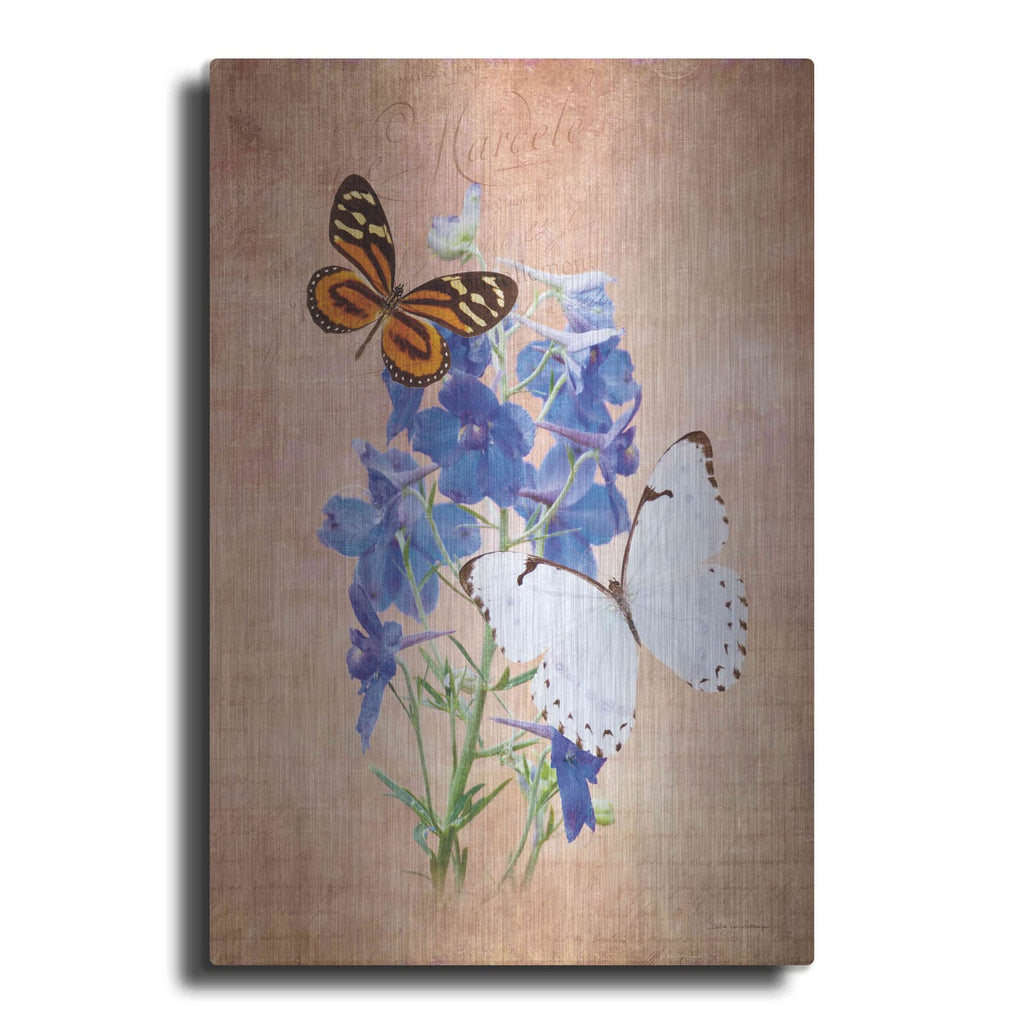 'Butterfly Botanical III' by Debra Van Swearingen – Metal Wall Art