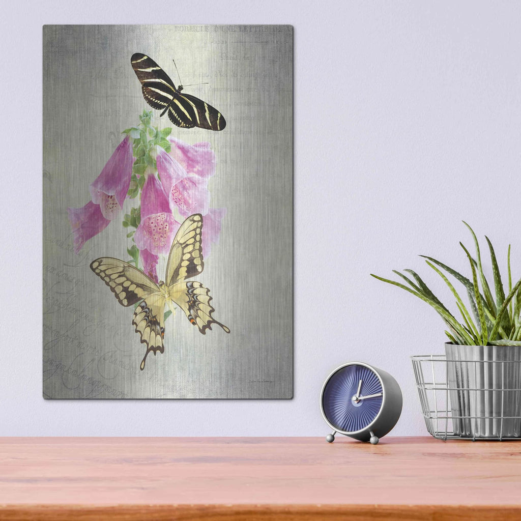 'Butterfly Botanical IV' by Debra Van Swearingen – Metal Wall Art, 12x16 room view