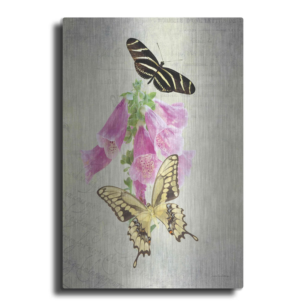 'Butterfly Botanical IV' by Debra Van Swearingen – Metal Wall Art