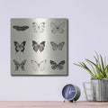 'Butterfly BW 9 Patch' by Debra Van Swearingen – Metal Wall Art, 12x12 room view