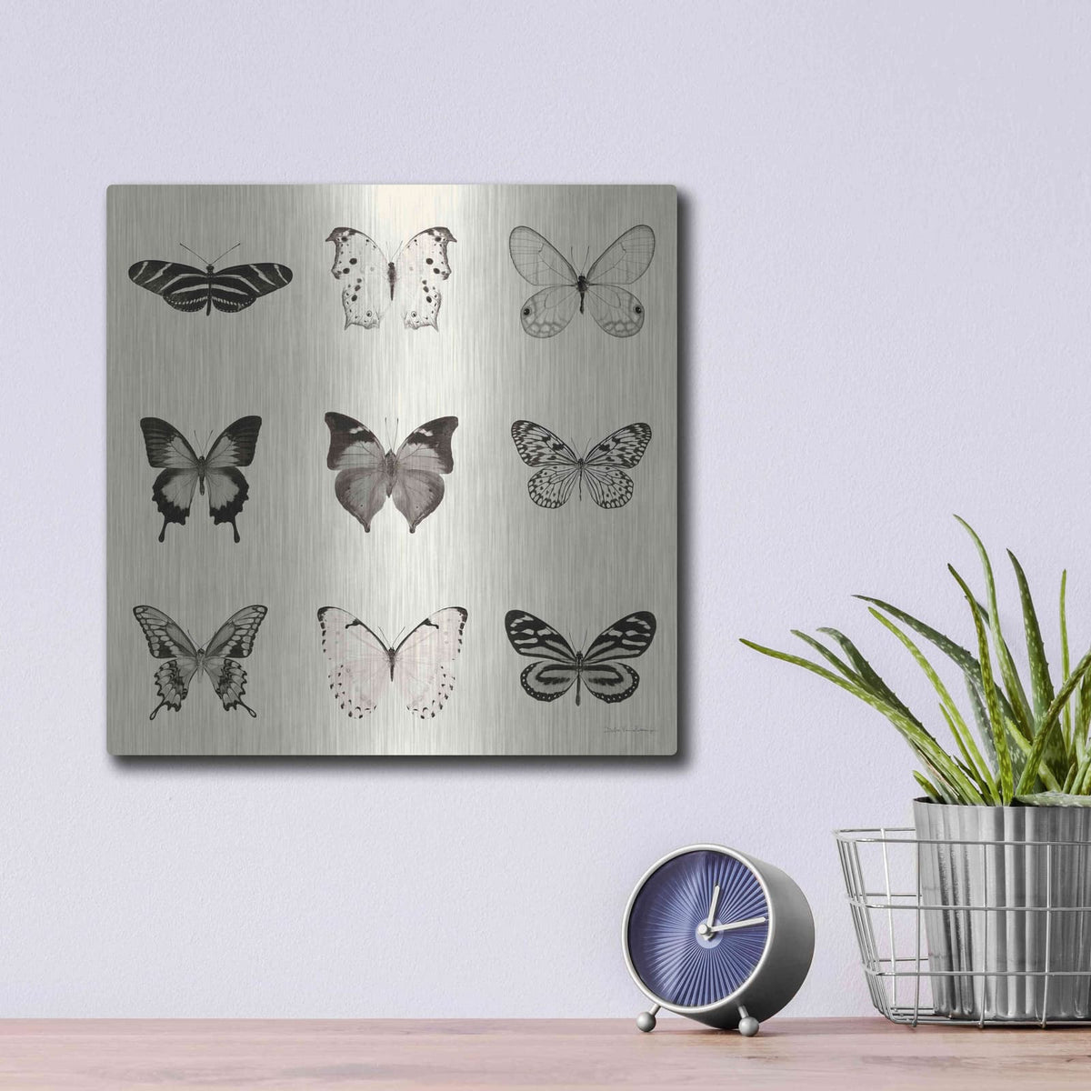 'Butterfly BW 9 Patch' by Debra Van Swearingen – Metal Wall Art, 12x12 room view
