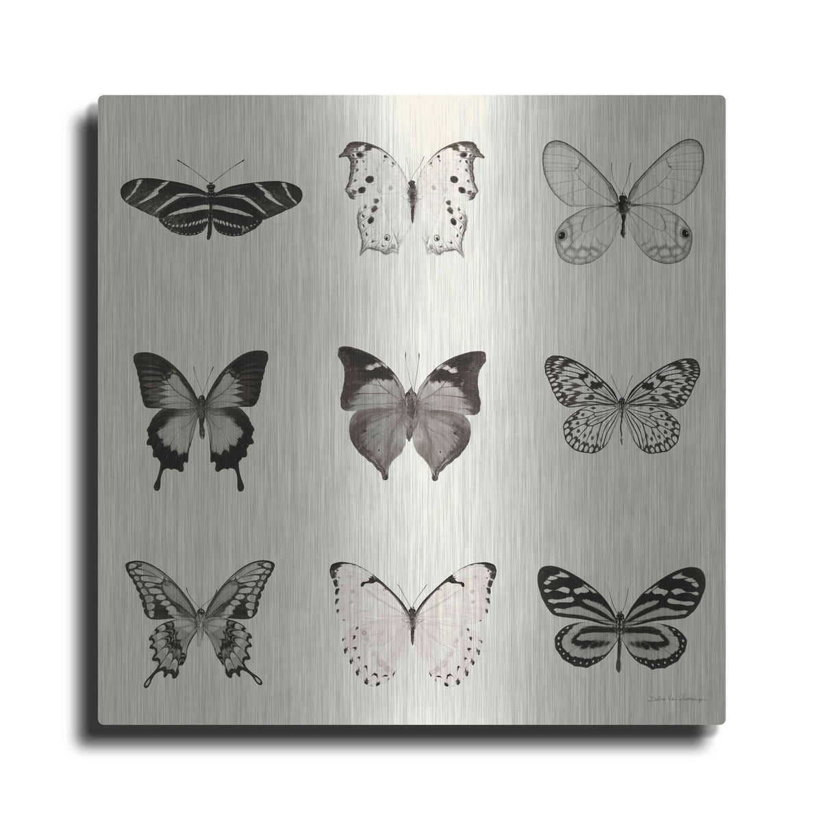 'Butterfly BW 9 Patch' by Debra Van Swearingen – Metal Wall Art