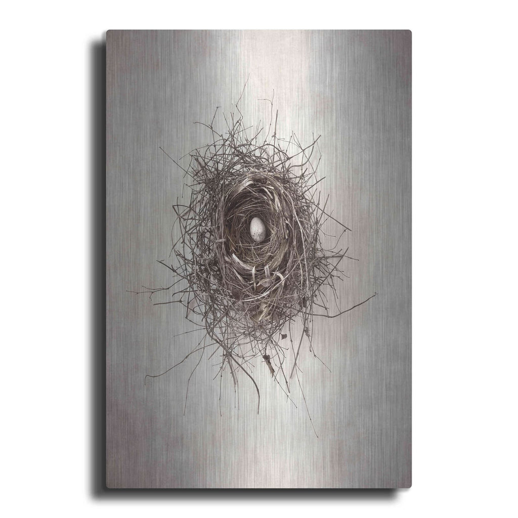 'Nest I' by Debra Van Swearingen – Metal Wall Art