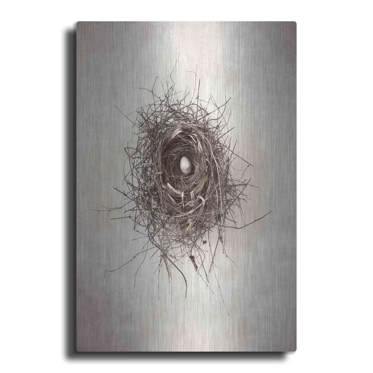 'Nest I' by Debra Van Swearingen – Metal Wall Art