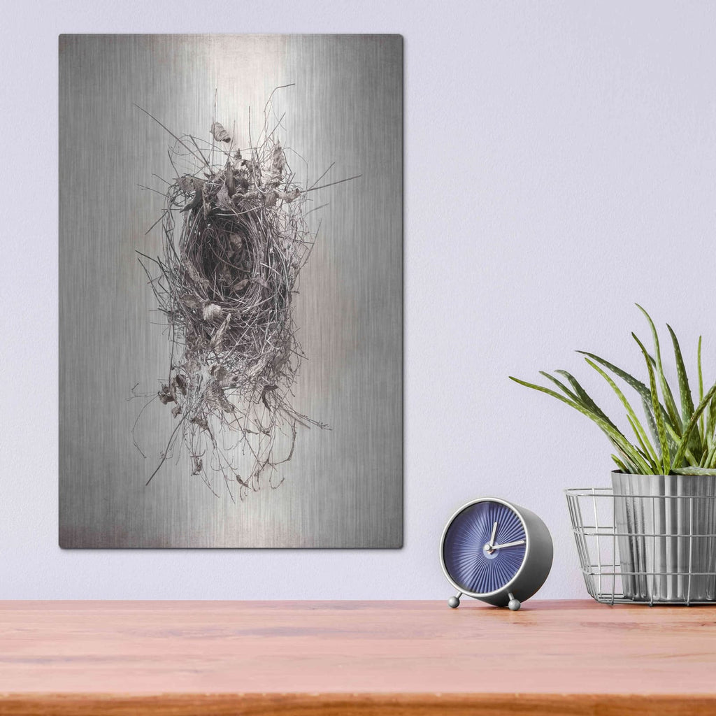 'Nest II' by Debra Van Swearingen – Metal Wall Art, 12x16 room view